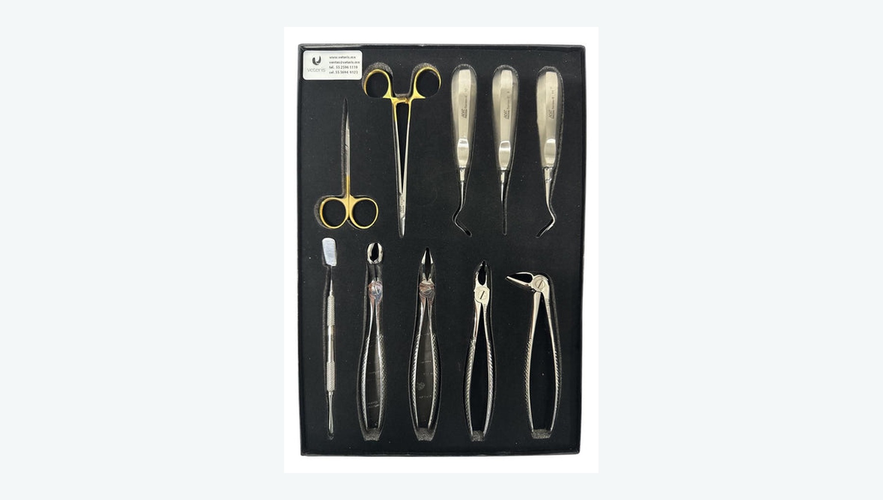 Routine Extraction Instrument Set